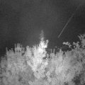 Webcam_20190818-050000
