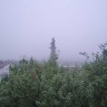 Webcam_20190818-080000