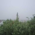 Webcam_20190818-083000