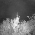 Webcam_20190819-050000