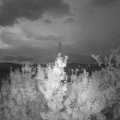 Webcam_20190819-053000