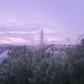 Webcam_20190820-060000