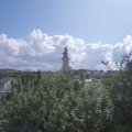 Webcam_20190821-120000