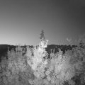 Webcam_20190822-053000
