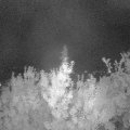 Webcam_20190822-220000