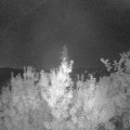 Webcam_20190823-050000