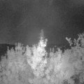 Webcam_20190824-050000