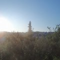 Webcam_20190824-073000