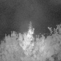 Webcam_20190824-220000