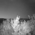 Webcam_20190826-053000