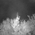 Webcam_20190829-213000