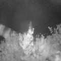 Webcam_20190831-050000