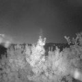 Webcam_20190831-053000
