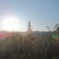 Webcam_20190831-080000