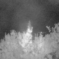 Webcam_20190902-050000