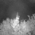 Webcam_20190902-213000