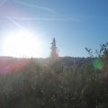 Webcam_20190904-080000