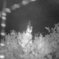 Webcam_20190905-053000