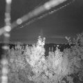 Webcam_20190907-060000