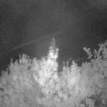Webcam_20190908-050000