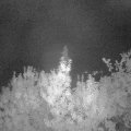 Webcam_20190908-053000
