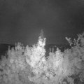 Webcam_20190908-060000