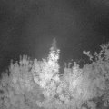 Webcam_20190909-050000