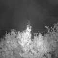 Webcam_20190909-210000