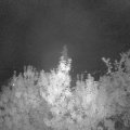 Webcam_20190909-220000