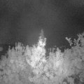 Webcam_20190910-053000