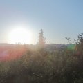 Webcam_20190910-080000