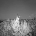 Webcam_20190910-203000