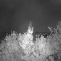 Webcam_20190910-210000