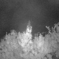 Webcam_20190911-213000