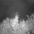 Webcam_20190911-220000