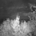 Webcam_20190912-220000