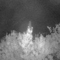 Webcam_20190913-050000