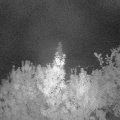 Webcam_20190913-053000