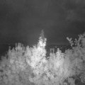 Webcam_20190913-060000