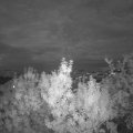Webcam_20190913-203000