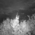 Webcam_20190913-210000