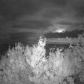 Webcam_20190913-213000