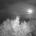 Webcam_20190913-220000