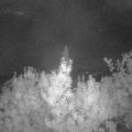 Webcam_20190914-050000
