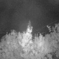 Webcam_20190915-050000