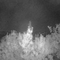 Webcam_20190915-053000