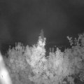 Webcam_20190916-050000