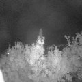 Webcam_20190917-210000