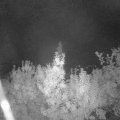 Webcam_20190918-050000