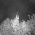 Webcam_20190918-053000